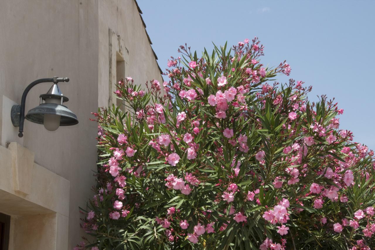 Case Vacanza Sant'Agostino Siracusa 锡拉库扎 外观 照片